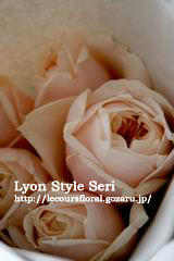 rose4
