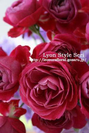 roses11