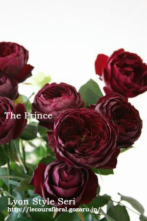 The prince3