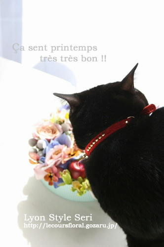 stvalentinpc