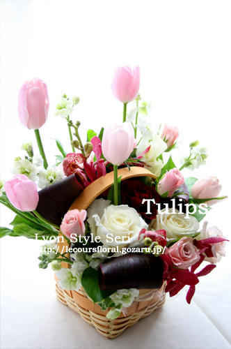 Tulips