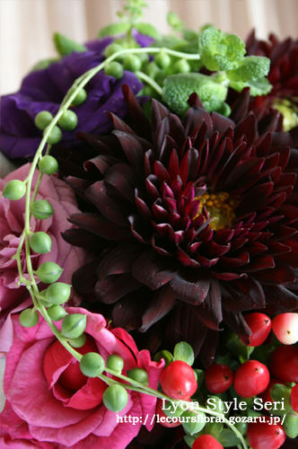 dalia