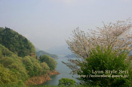 miyagase1