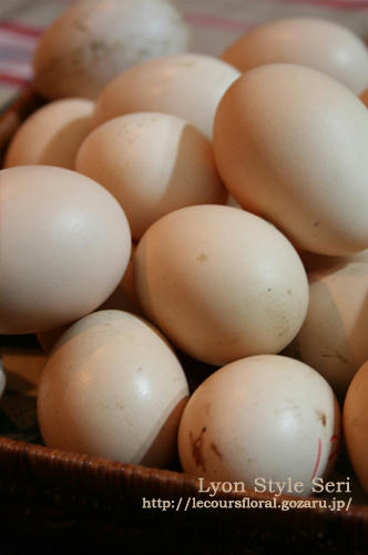 oeufs