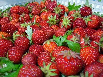 fraises