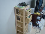 CA380009.JPG