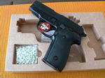 SIGP228_2.jpg