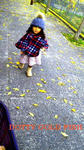 201011161415000.jpg