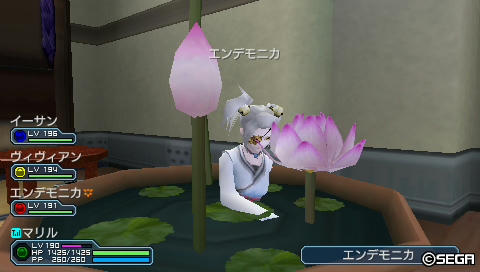 蓮の花に映えるモニー