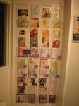 IMG_2426.jpg