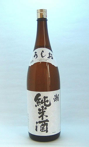 潮