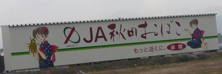 おばこ