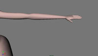 arm_7_12.jpg