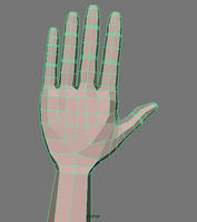 hand_low_res_7_12.jpg