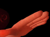 12_6_finger_UpShot.jpg