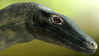 2010_5_4__3.jpg