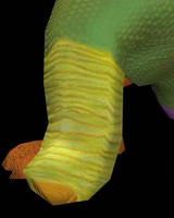 2010_5_9_1.jpg