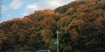 20091130151945.jpg