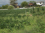 e27373aa.jpg