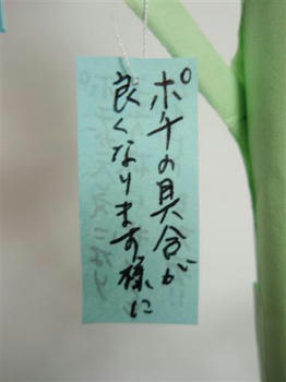 029bb0e6.JPG