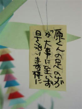 34e8a84a.JPG