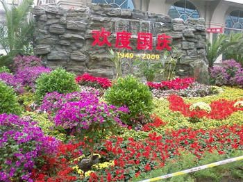 2d4555d9.jpg