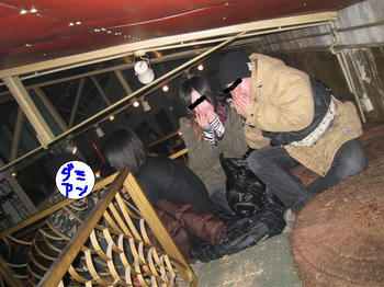 ef8abb66.JPG