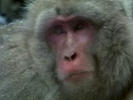 cs_jgun0001_0004_01.jpg