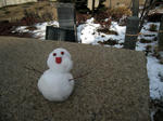 IMG_1279.JPG