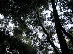 595b2d15.jpg