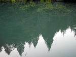 IMG_1429.JPG