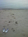 2009050516240002.jpg