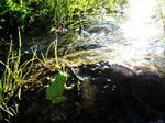 IMG_1745.jpg
