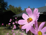 IMG_1751.jpg
