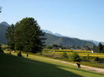 IMG_1759.jpg
