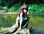 Druid_Faerie_by_Lillyxandra.jpg