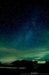 08IMG_7113.jpg