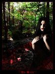 The_Witch_by_darkcryptorium.jpg