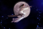 The_Witch_by_MagiccreationS.jpg