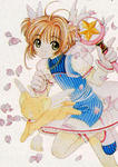 kinomotosakura01.jpg