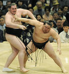 sumou2.jpg