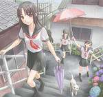 viploader2d434065.jpg