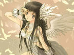 viploader2d434146.jpg