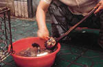 catfood5.jpg