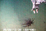 452a.gif