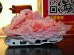 acer_06.jpg