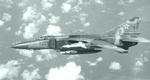 mig.jpg