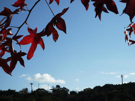 bluesky.jpg