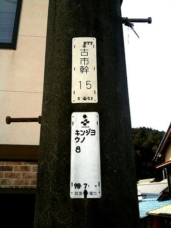 telepole.jpg