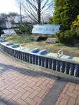 100408_155053.jpg